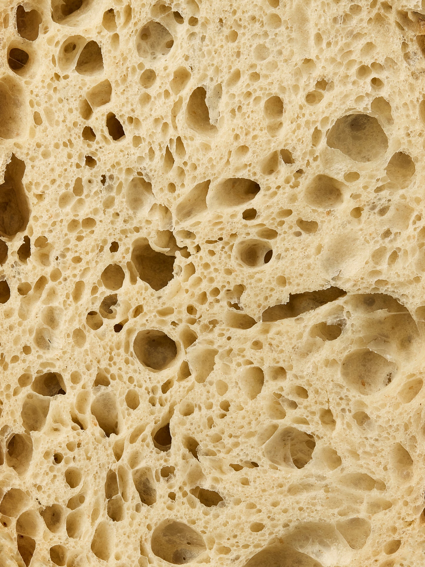 San Francisco Sourdough 650g | GAIL's Bakery