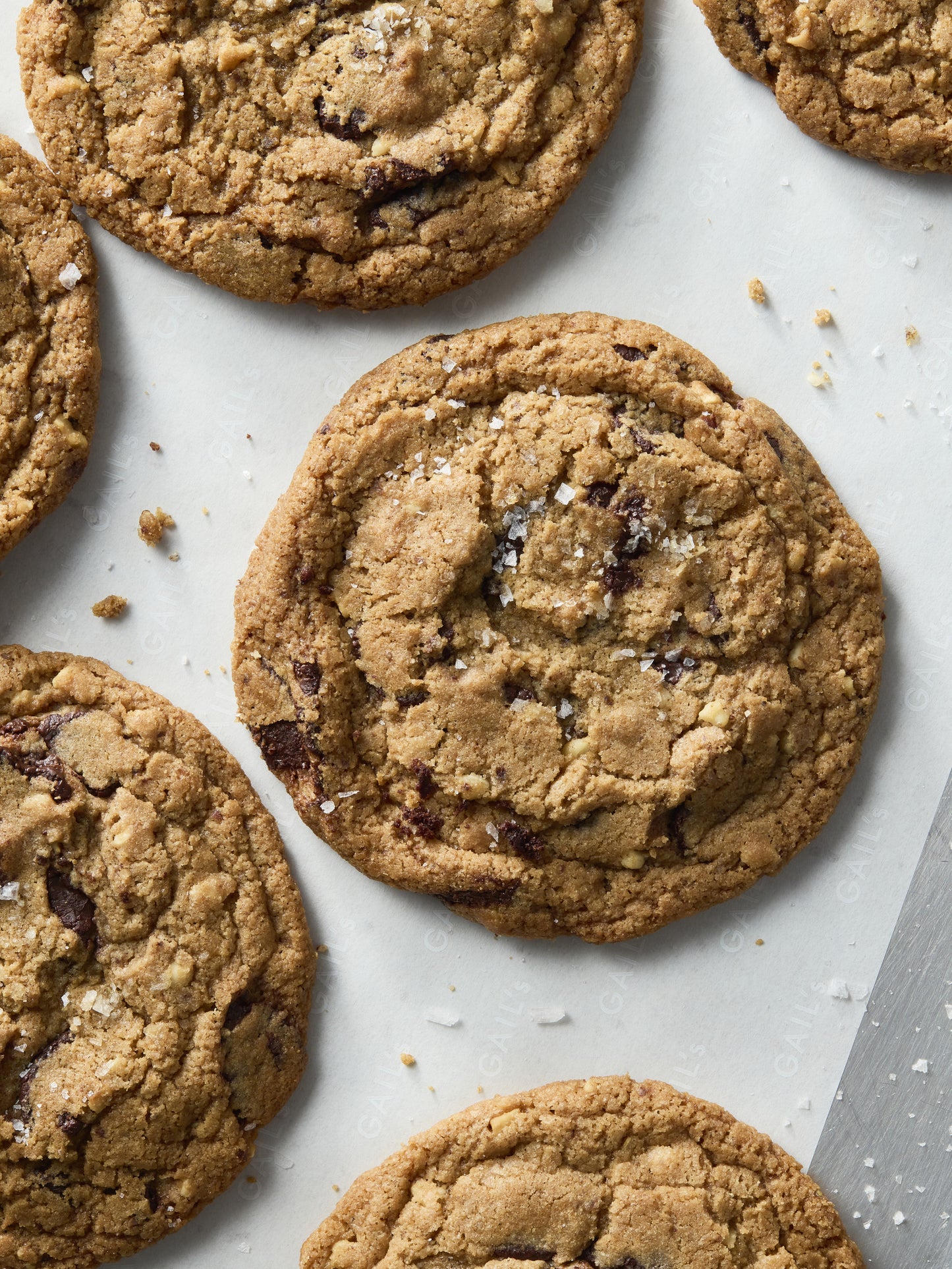 Barley Cookie | GAIL's Bakery