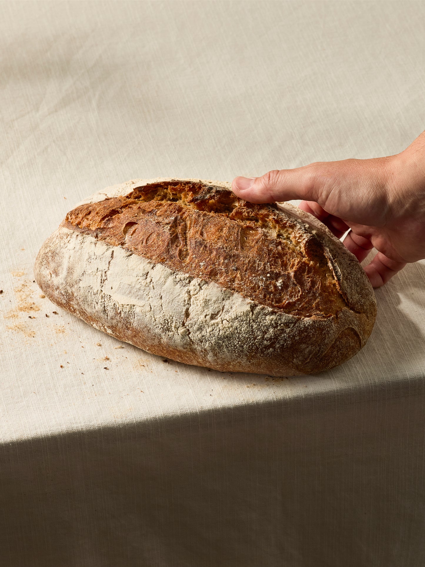 GAIL's Sourdough 650g | GAIL's Bakery