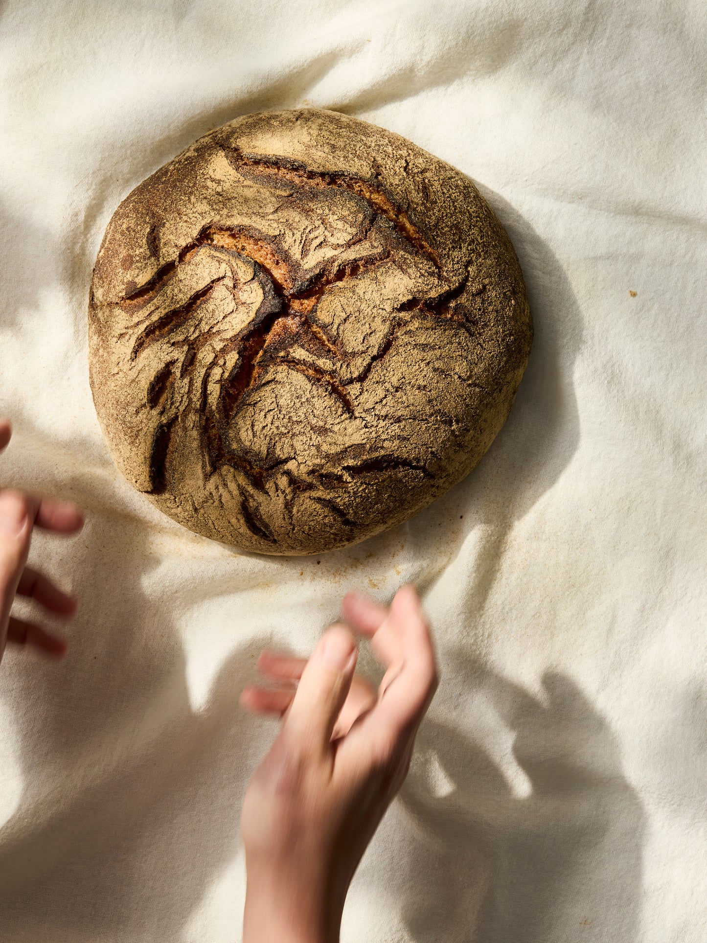 Good Earth Sourdough | GAIL's Bakery