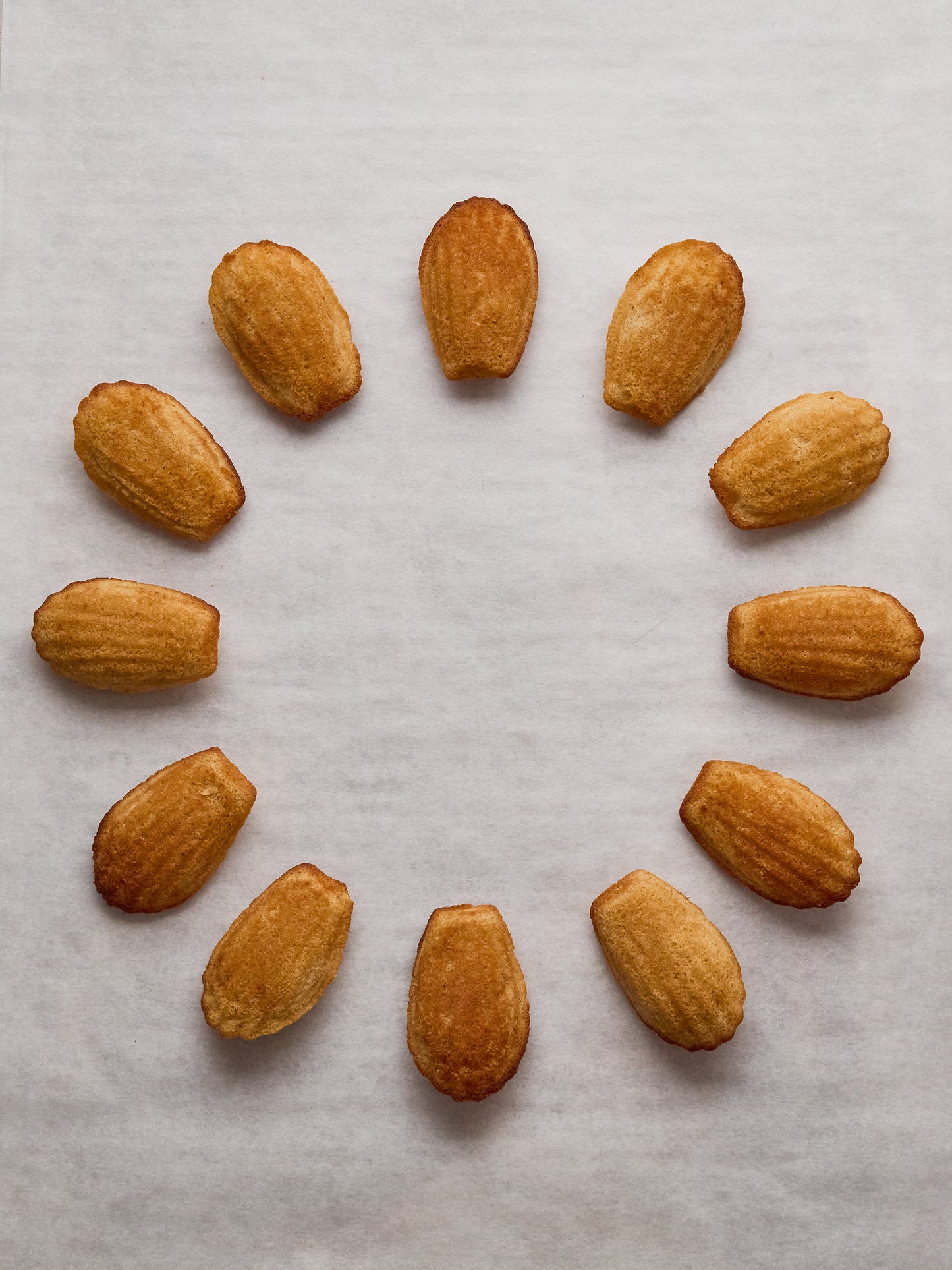 12 Madeleines | GAIL's Bakery