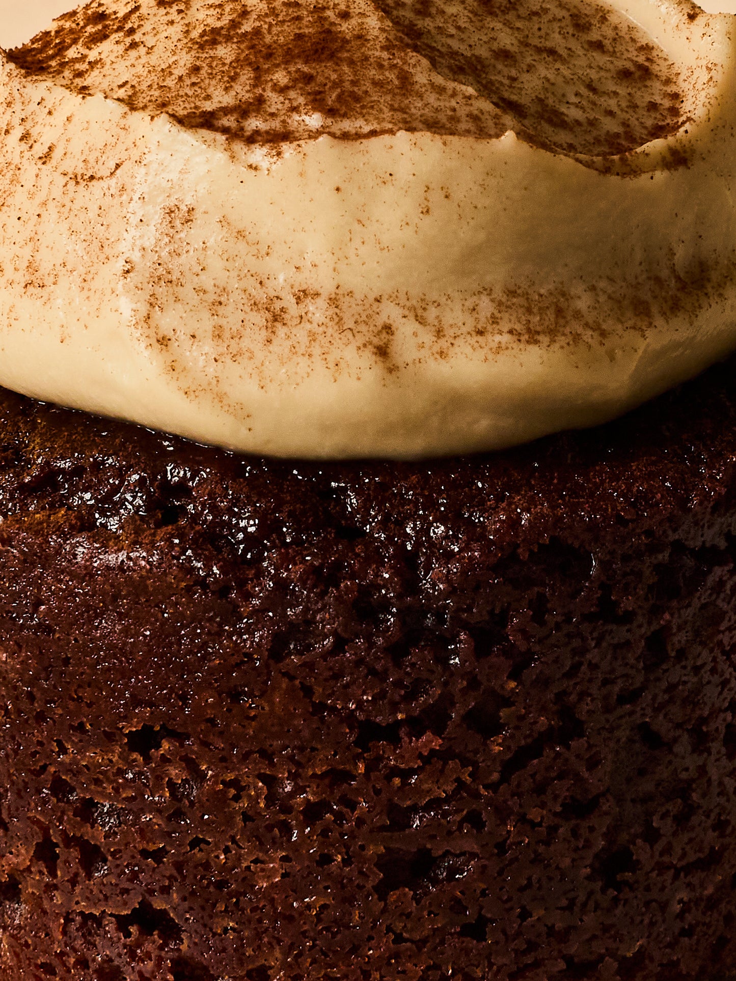 Malted Chocolate & Stout Cake | GAIL's Bakery