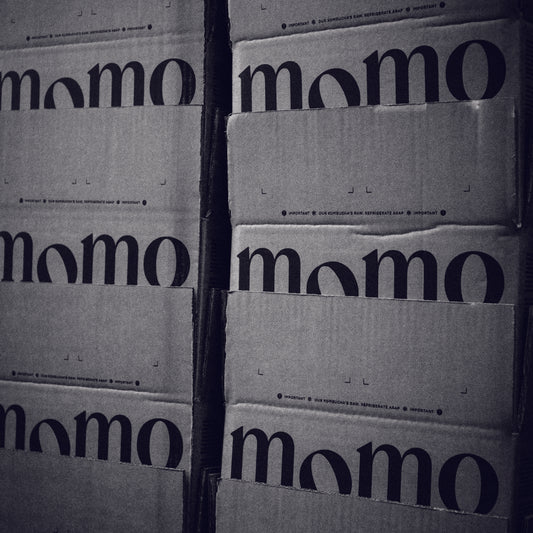 GAIL’s x Momo Kombucha: A Fascination With Fermentation