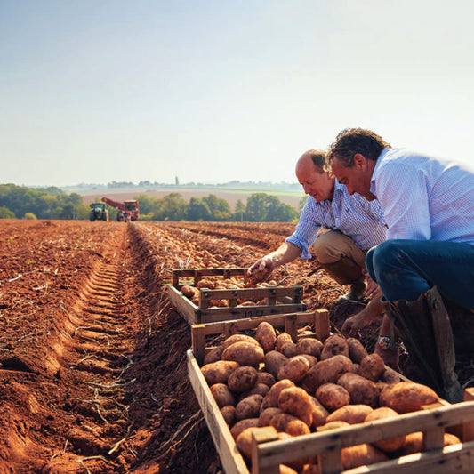 two-farmers-crisps