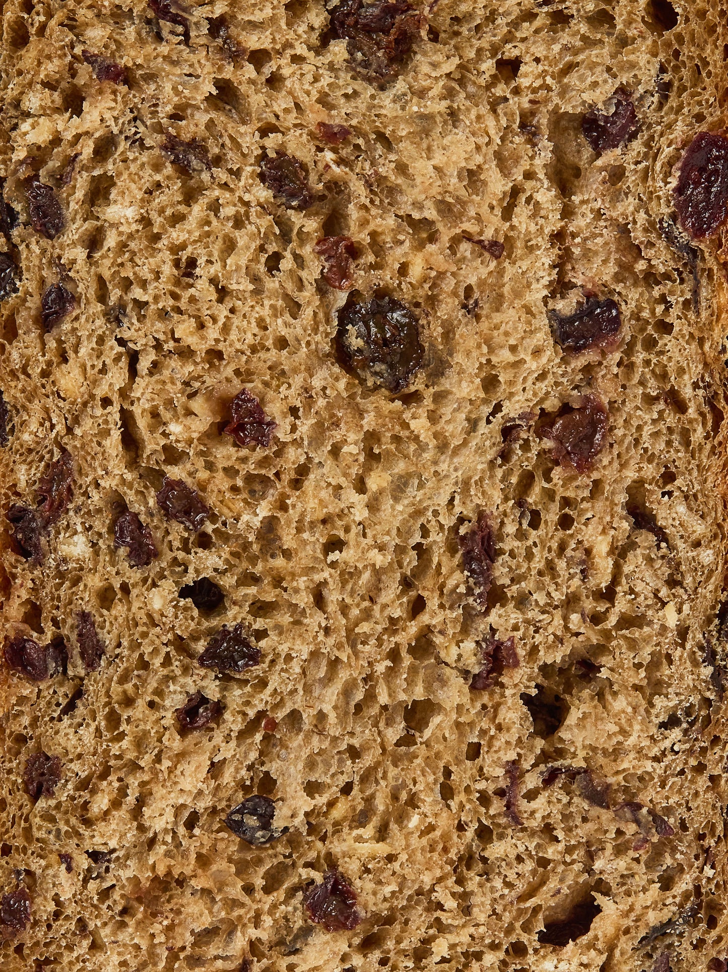 Currant & Sour Cherry Loaf | GAIL's Bread