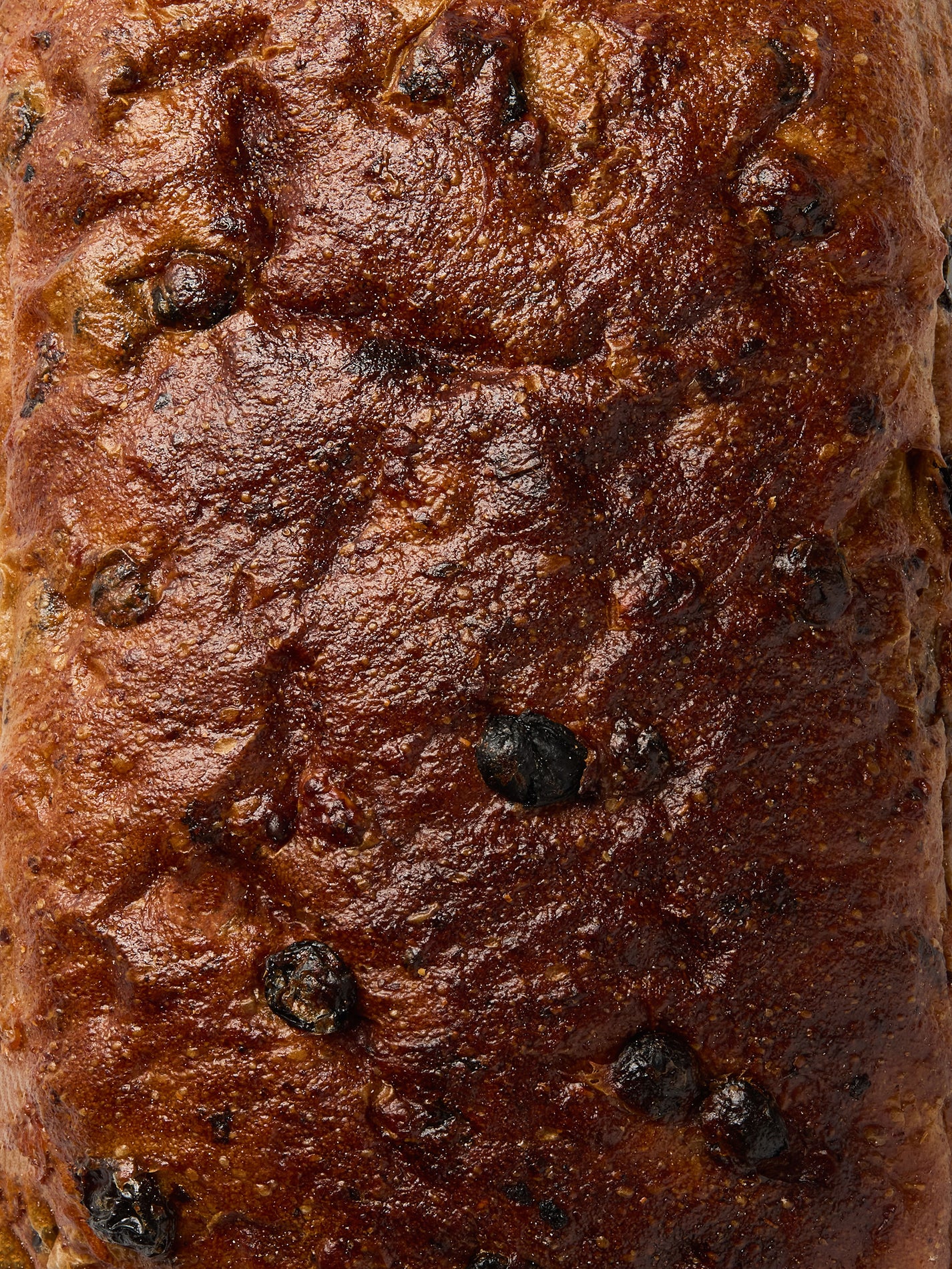 Currant & Sour Cherry Loaf | GAIL's Bread