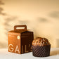 Chocolate Sourdough Panettone 1kg | GAIL's Bakery