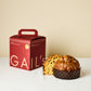 Classic Sourdough Panettone 500g | GAIL's Bakery