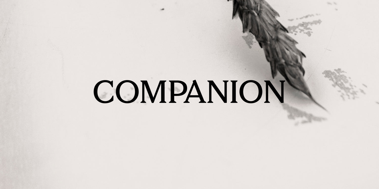 About Companion | GAIL's Bakery