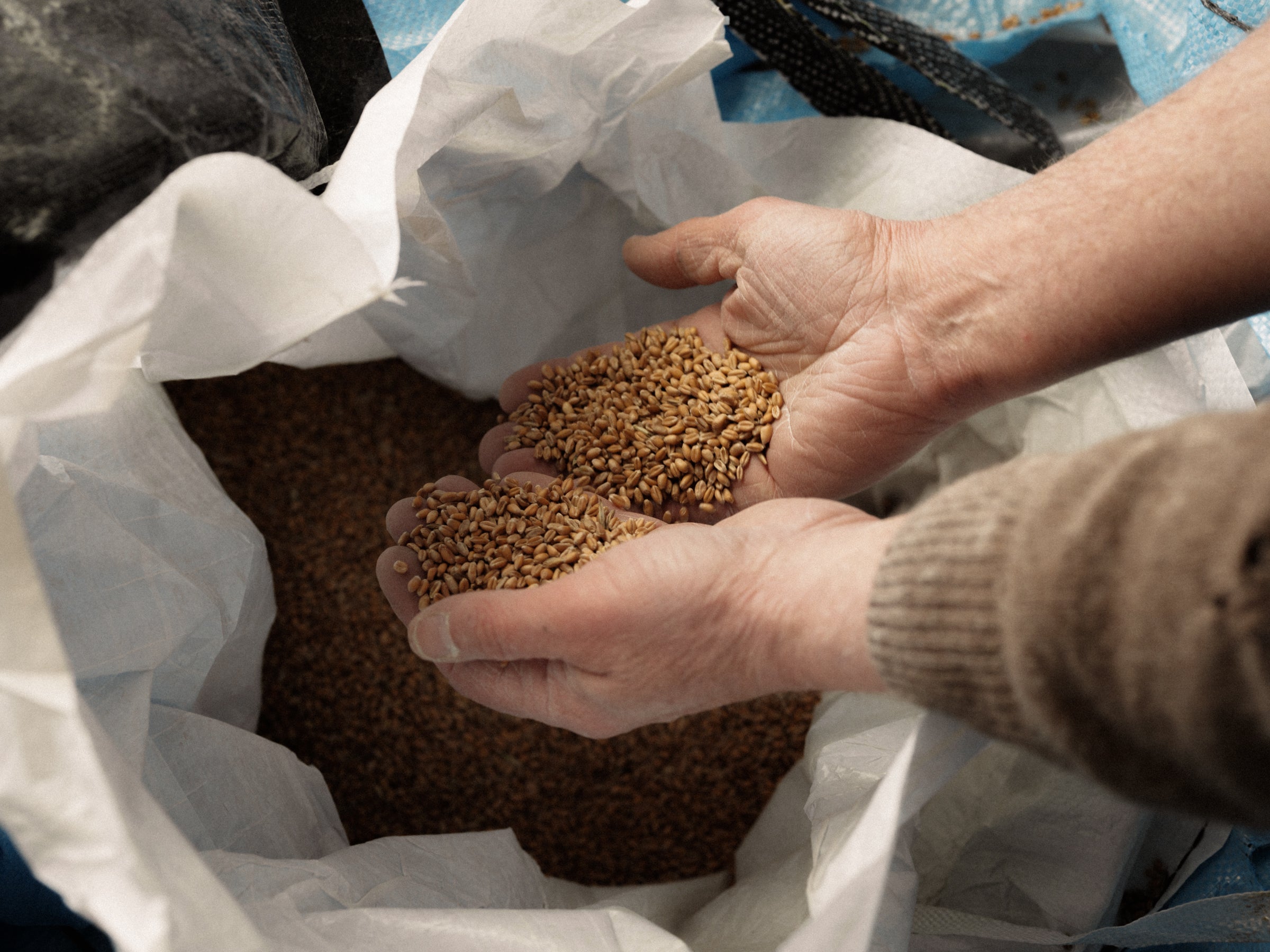 GAIL's Bakery | A single Farm Sourdough