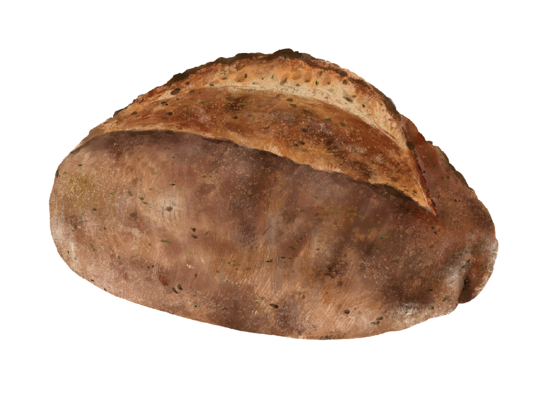 Potato & Rosemary Sourdough | GAIL's Bakery