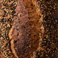 Seeded Sourdough 650g | GAIL's Bakery