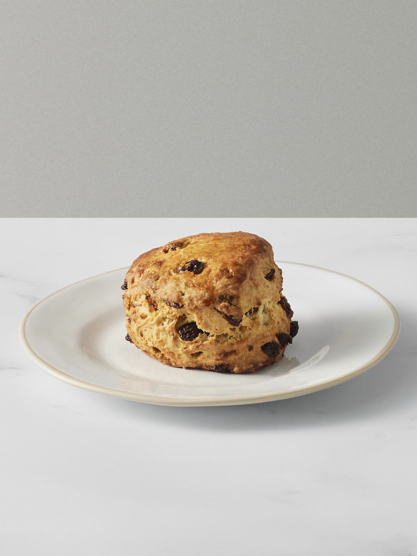 Sultana Scone | GAIL's Bakery