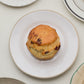 Sultana Scone | GAIL's Bakery