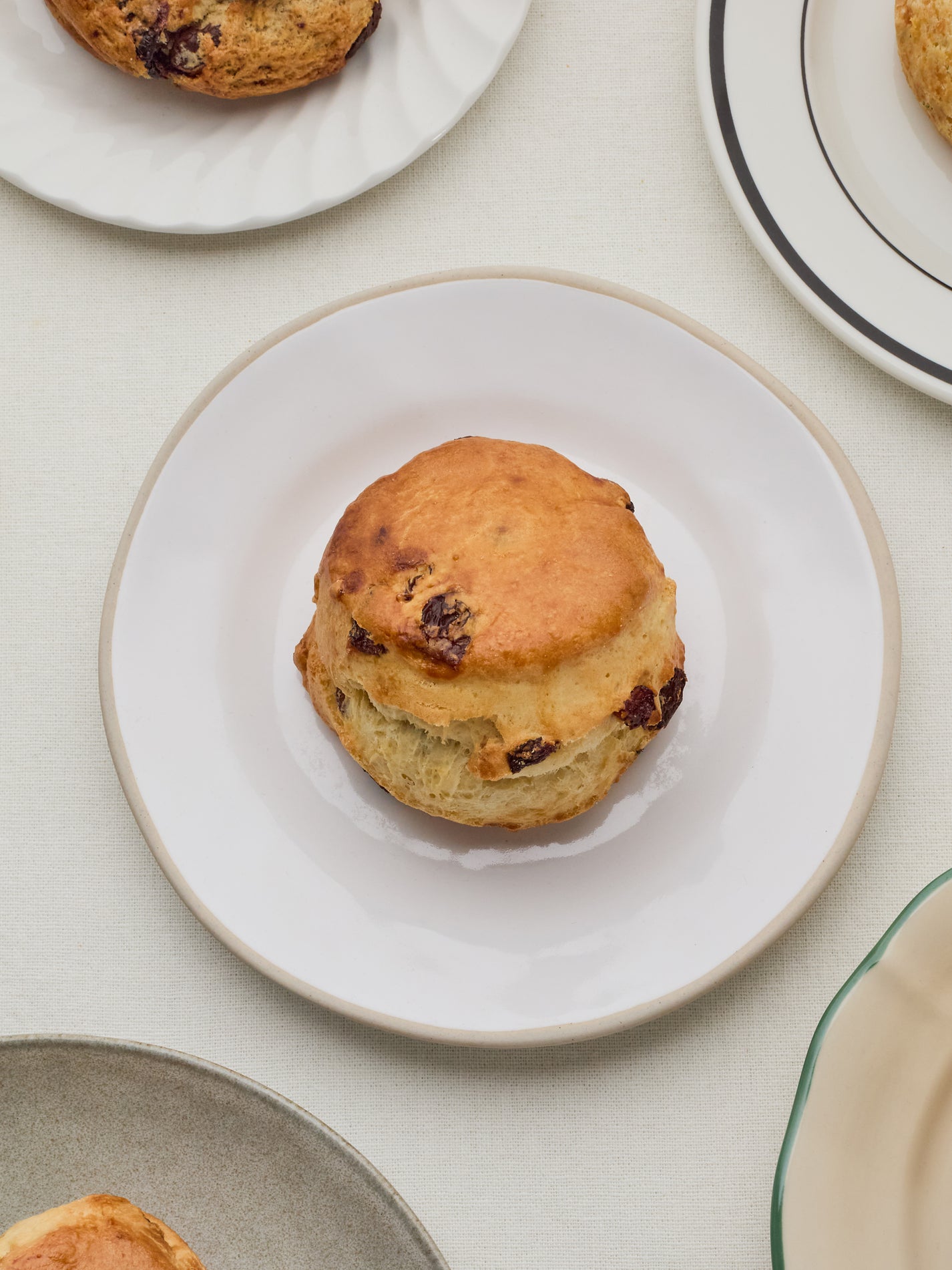 Sultana Scone | GAIL's Bakery