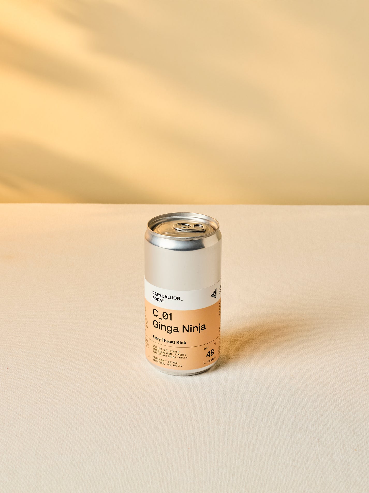 Rapscallion Ginja Ninja Can | GAIL's Bakery