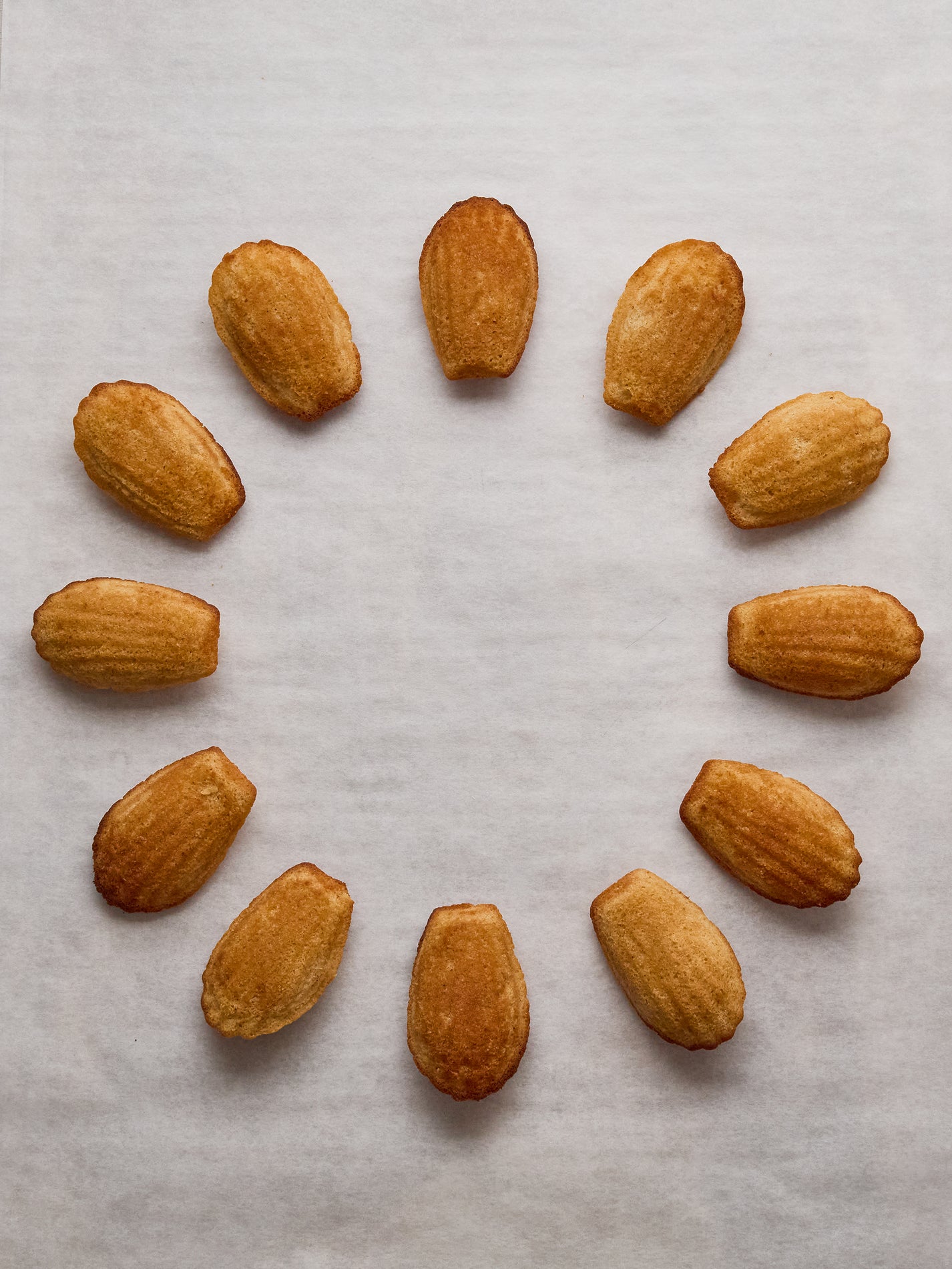 12 Madeleines | GAIL's Bakery